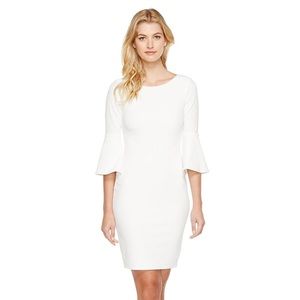 NWT Calvin Klein Bell Sleeve Sheath Dress